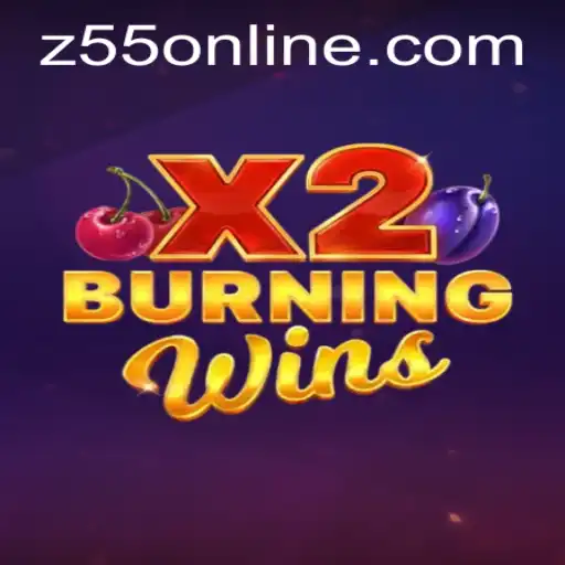 Exploring the World of Burning Wins X2